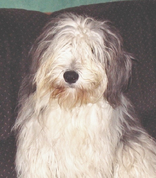 Banialuka De kaillhanes